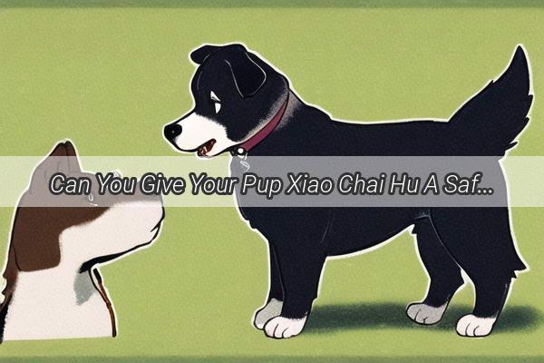 Can You Give Your Pup Xiao Chai Hu A Safe and Natural Remedy for Your Canines Health